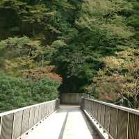 スッキリ滝行【明浄寺 別院】