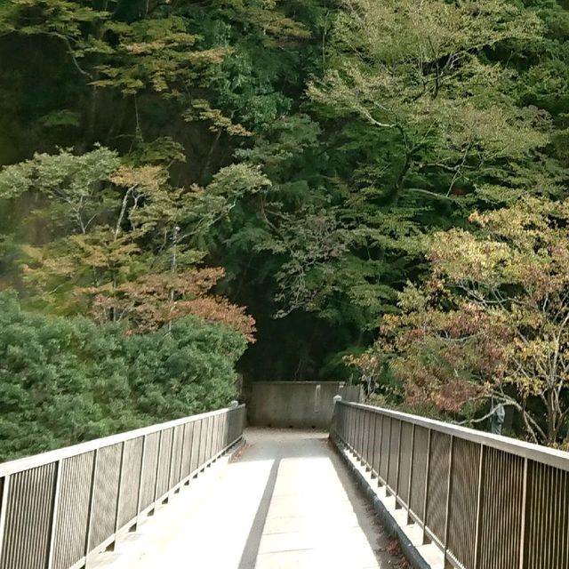 スッキリ滝行【明浄寺 別院】