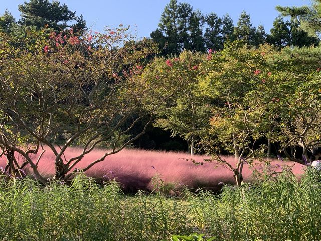 [제주도 여행] 제주 수목원 - 상효원