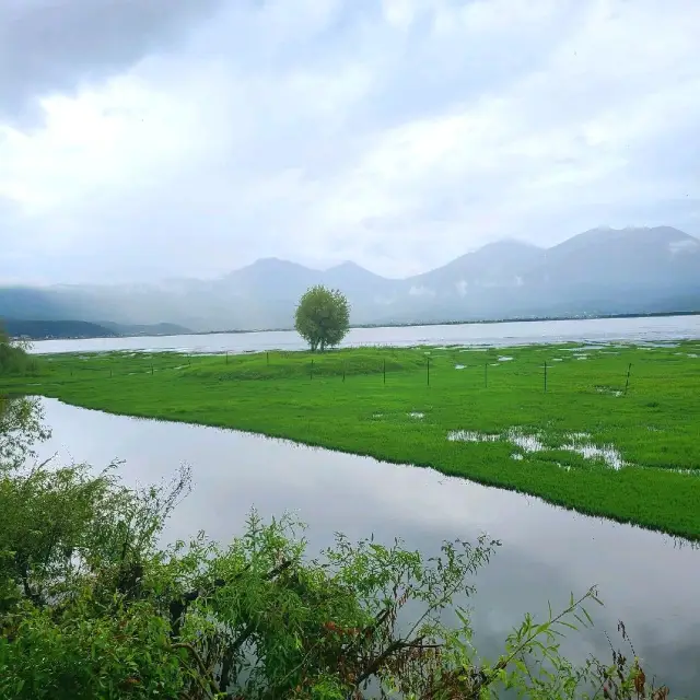 The wonders of Yunnan- Lashihai Wetland Park