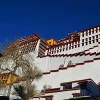 Potala Palace - Lhasa - Tibet