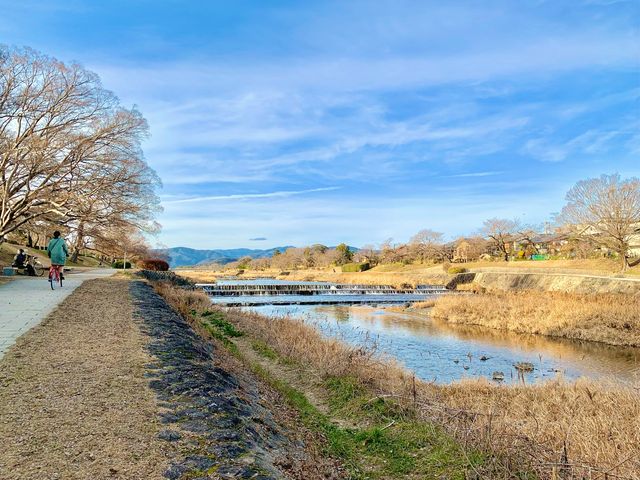 【京都観光】京都らしい風景を楽しめる「鴨川」