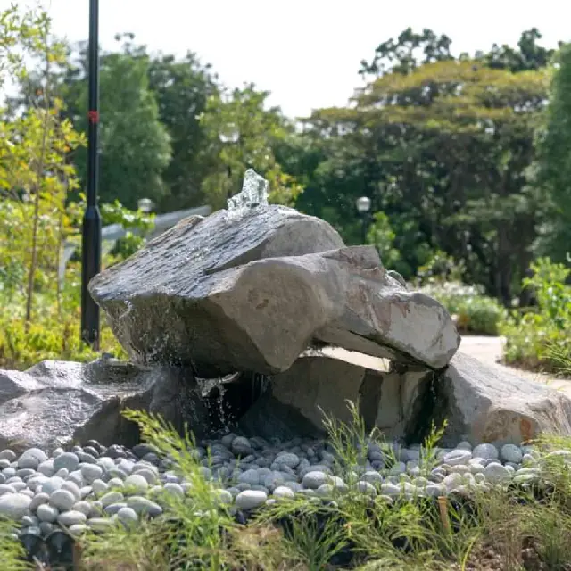 New Therapeutic Garden @ Bedok Reservoir