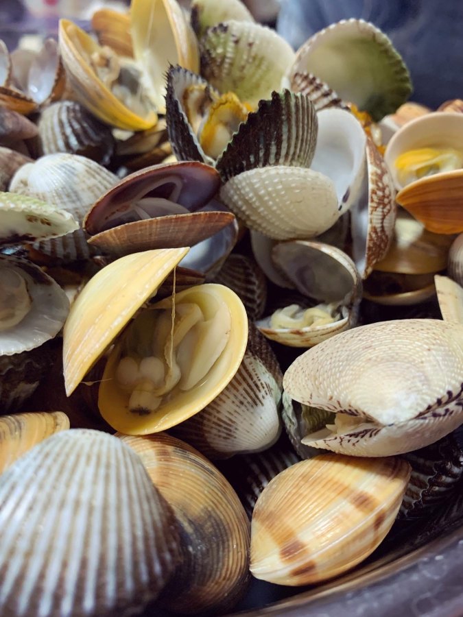 人生第一次摸蜆 Trip Com 香港trip Moments 貼文