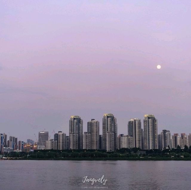 달빛노들 앞에서 인생샷 건져요:) 한강 피크닉