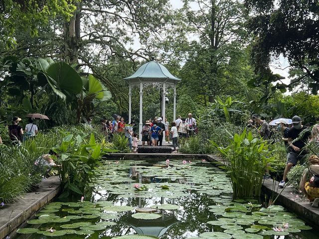 Istana trip