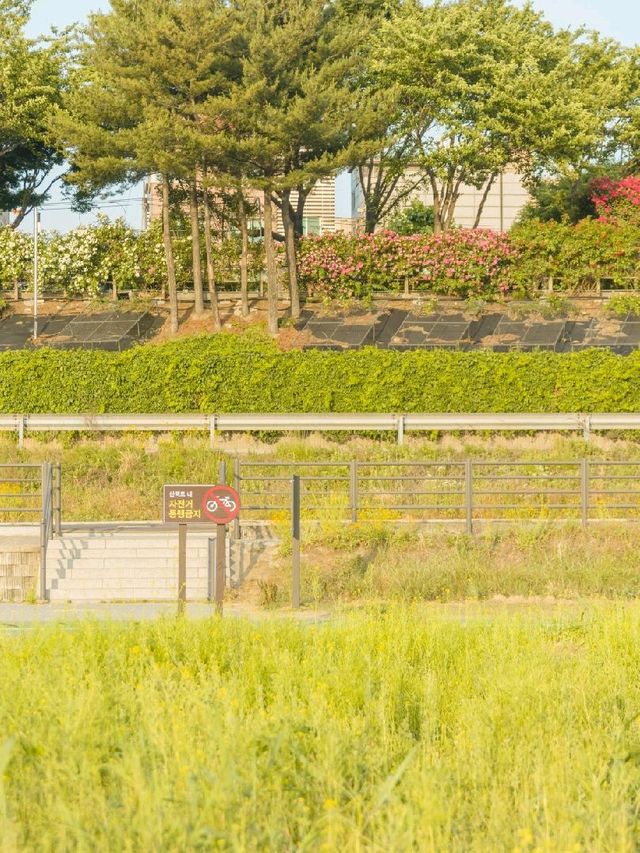서울 가볼만한 곳 추천, 중랑천