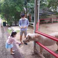 동물을 가까이서 보며 먹이주기 체험가능 한 Bonanza Exotic Zoo