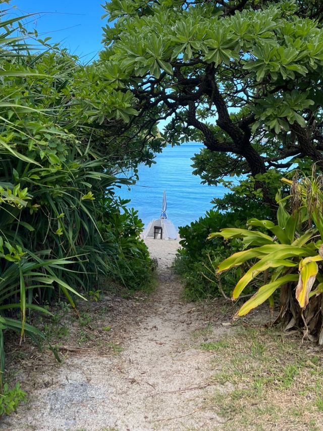 沖縄 渡嘉敷島🌴