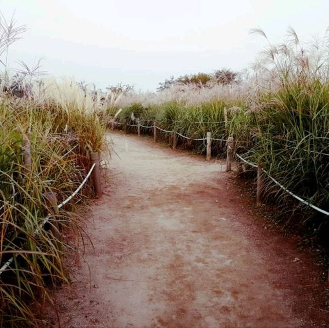 Early autumn at Hanuel Park