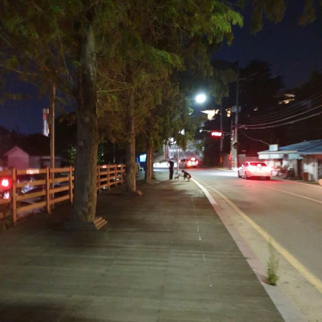 Deokjin Park Night View in Jeonju