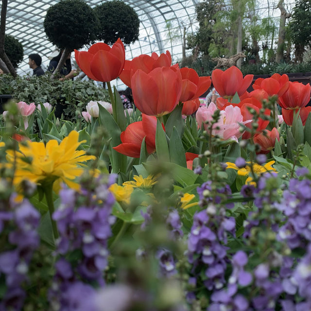 Dreamy Garden in a Futuristic City