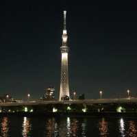 Totally Tokyo 