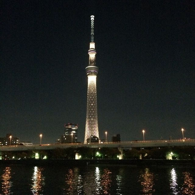 Totally Tokyo 