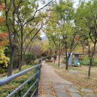 가을 분위기 즐기기 좋은 김해 반룡산공원