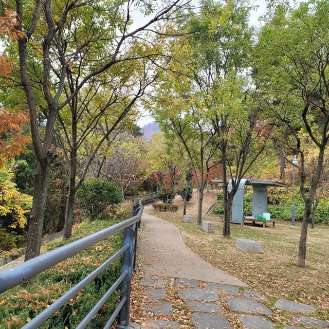 가을 분위기 즐기기 좋은 김해 반룡산공원