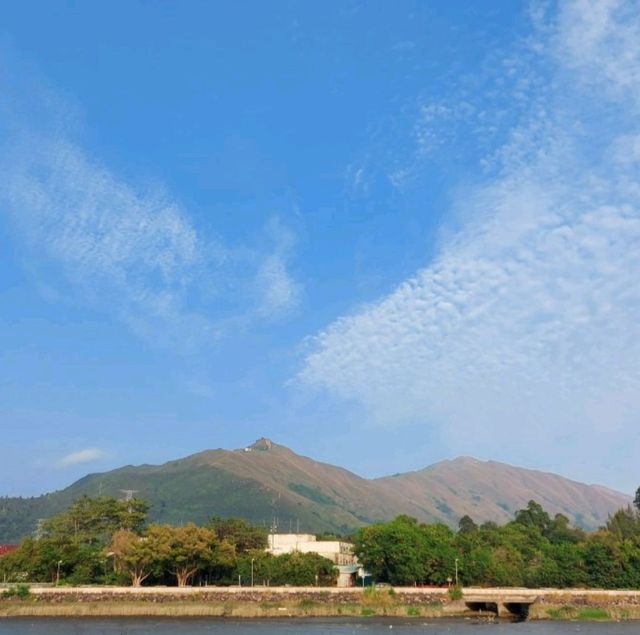 南生圍單車🚲觀鳥🕊️黃昏🏜️之旅
