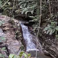 Bukit Silat Trail 