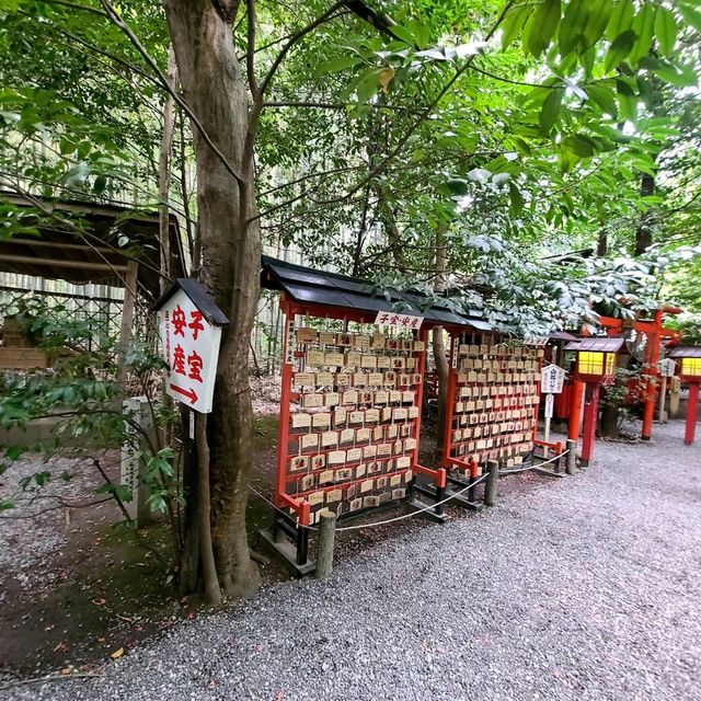 良縁・子宝・学問【野宮神社⛩️】✨