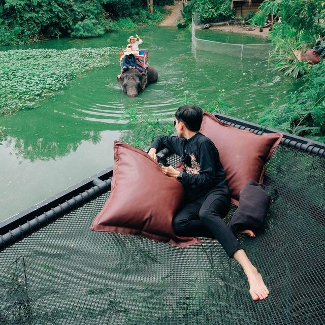 มองช้างคาเฟ่ สไตล์ซาฟารีคาเฟ่ อยู่พัทยานี่เอง