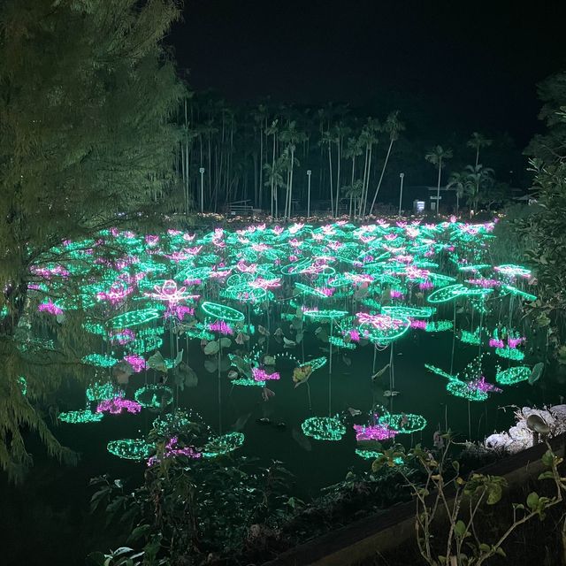 東南植物楽園のイルミネーション