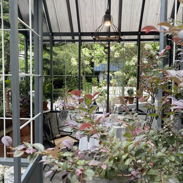 Afternoon Tea 🍵 จิบชายามบ่าย @Creeper House 