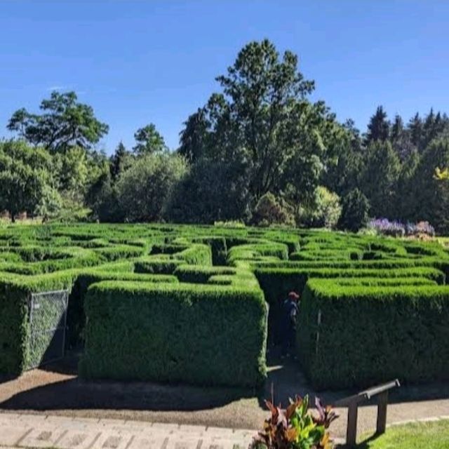 棒的植物園