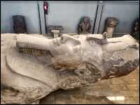 The colossal Statue of Ramesses.