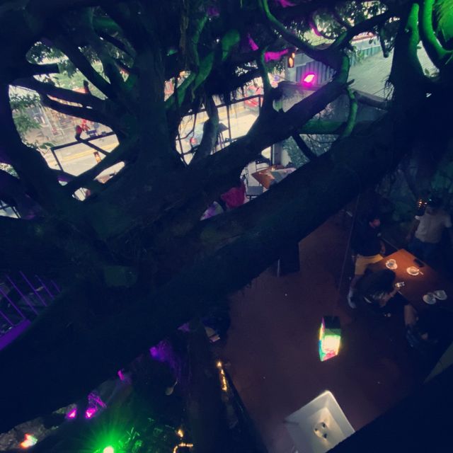 Dine in a Tree 🌳 