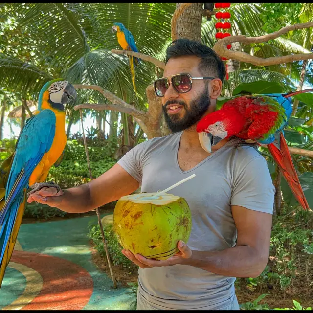 Parrot encounter at Daxiao Dongtian