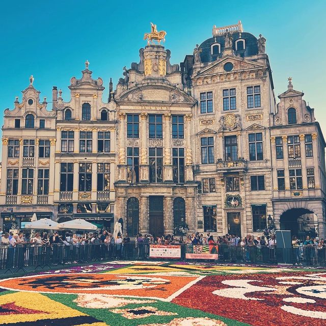 AMAZING BRUSSELS  🇧🇪 