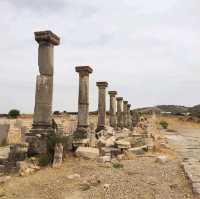 Roman City