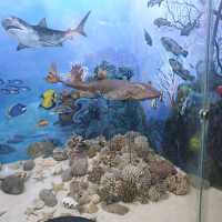 Amazing zooalogical museum 