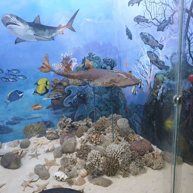 Amazing zooalogical museum 