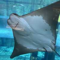 Amazing time at Atlantis Waterpark