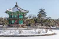 서울 겨울 여행 "경복궁 설경"