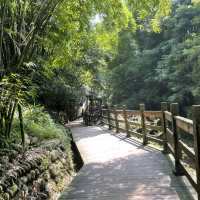 Bijia Mountain Park 