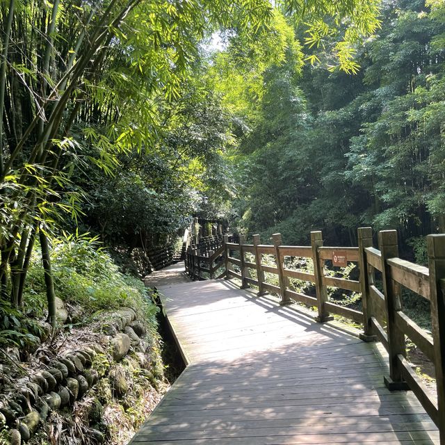 Bijia Mountain Park 