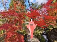 日本東北10日紅葉溫泉之旅