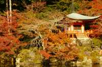 Autumn trip to Kyoto, Japan, enjoy the beauty of Bishamon-do and the red leaves of Daigo-ji Temple.