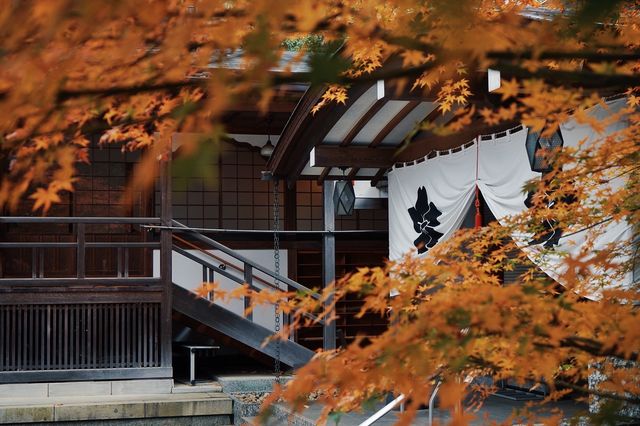 Just second to Sensoji Temple in age, yet it possesses a national treasure Buddha statue.