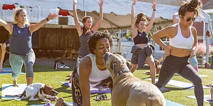 Yoga in the Yard | Split Raleigh