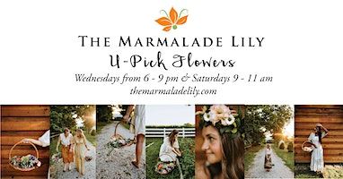 U-Pick Flower Wednesdays at The Marmalade Lily | The Marmalade Lily