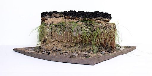 Insights | Tephra Institute of Contemporary Art