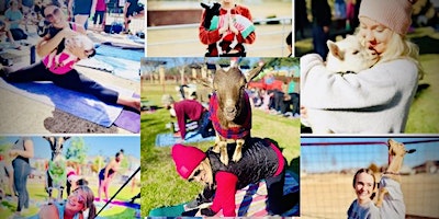 Goat Yoga McKinney @ The Stix! | The Stix Icehouse
