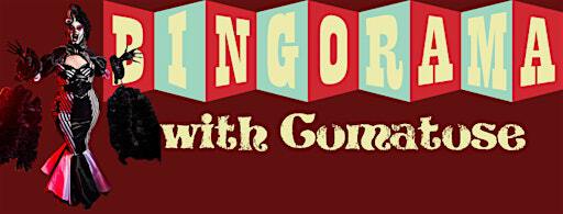 Dunlap's BINGORAMA Dec 9 | Dunlap's Corner Bar