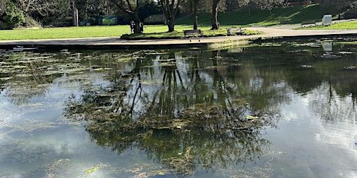 Drawing with Trees - Thur 6-8 pm Hastings - Art in the Park | Art in the Park, Arts on Prescription