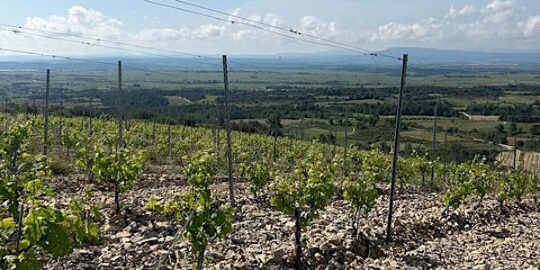 Summer Series - Southern France Tasting 2nd July | Mackie Mayor