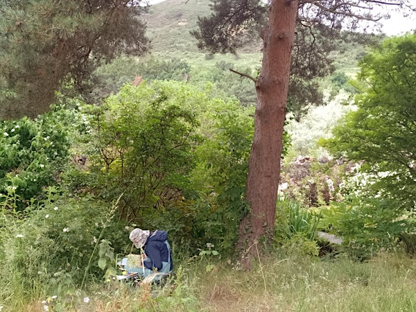 The Art of Looking with Artist Brigid Collins | Dr Neil's Garden