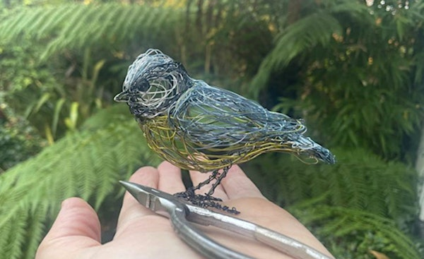 Wild Wire workshop - Garden Birds (ECC2511) | Carlton Marshes Nature Reserve & Visitor Centre